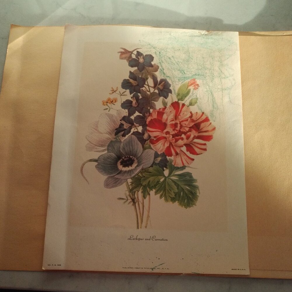 VINTAGE ART PRINT WITH BOUQUET OF VIBRANT FLOWERS, TITLED "LARKSPUR & CARNATION"
